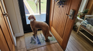 1744902508715.png