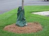 image_tree_watering_bag.jpg