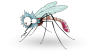 Mosquito_cartoon_T.png