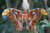 shutterstock_110125928.jpg
