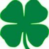 shamrock.jpg
