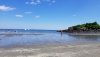 20190701_145249_resized.jpg