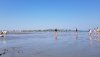 20190703_153603_resized.jpg