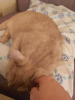 1568359533452.png