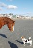 20200101_125249_resized.jpg