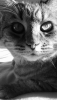 1582573011256.png 1582573011256.png