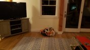 20201213_221326_resized.jpg