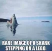 49ebb818be0f1c031a9549a722436359.webp