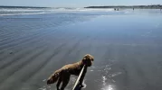 1759770480815.webp