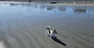 1759770503166.webp