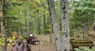 1790618480063.webp