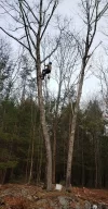 20201211_135844.webp