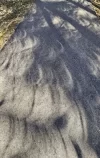 1712609986000.png