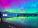 1723496282389.webp