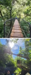 1738603694404.webp