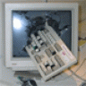 dlynx