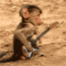Musicologist